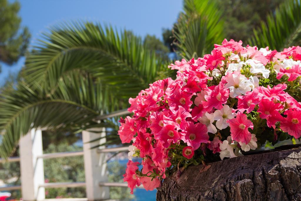 Apartments Villa Julija Mali Losinj Bagian luar foto